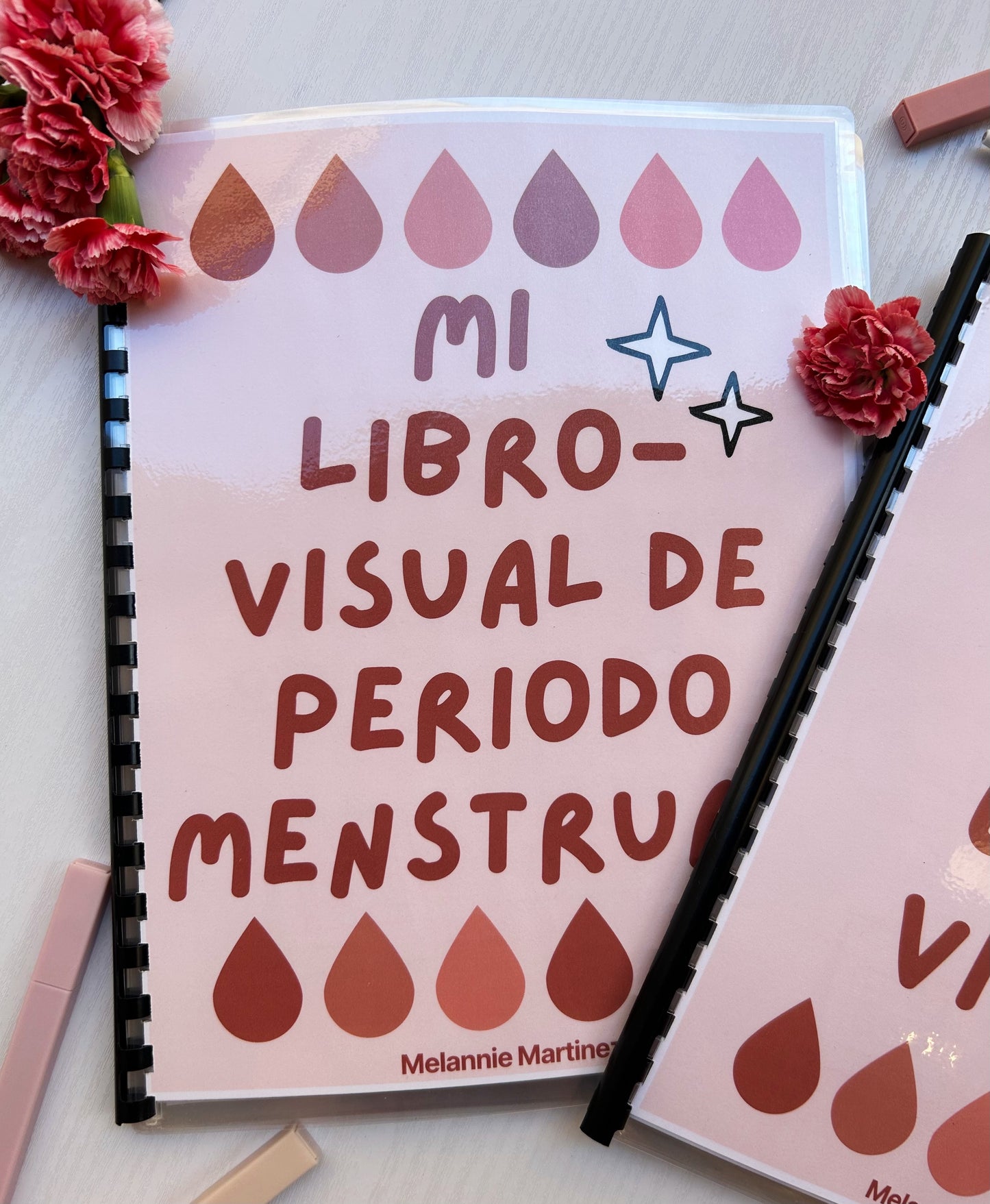 My Period Book-Visual (Physical)