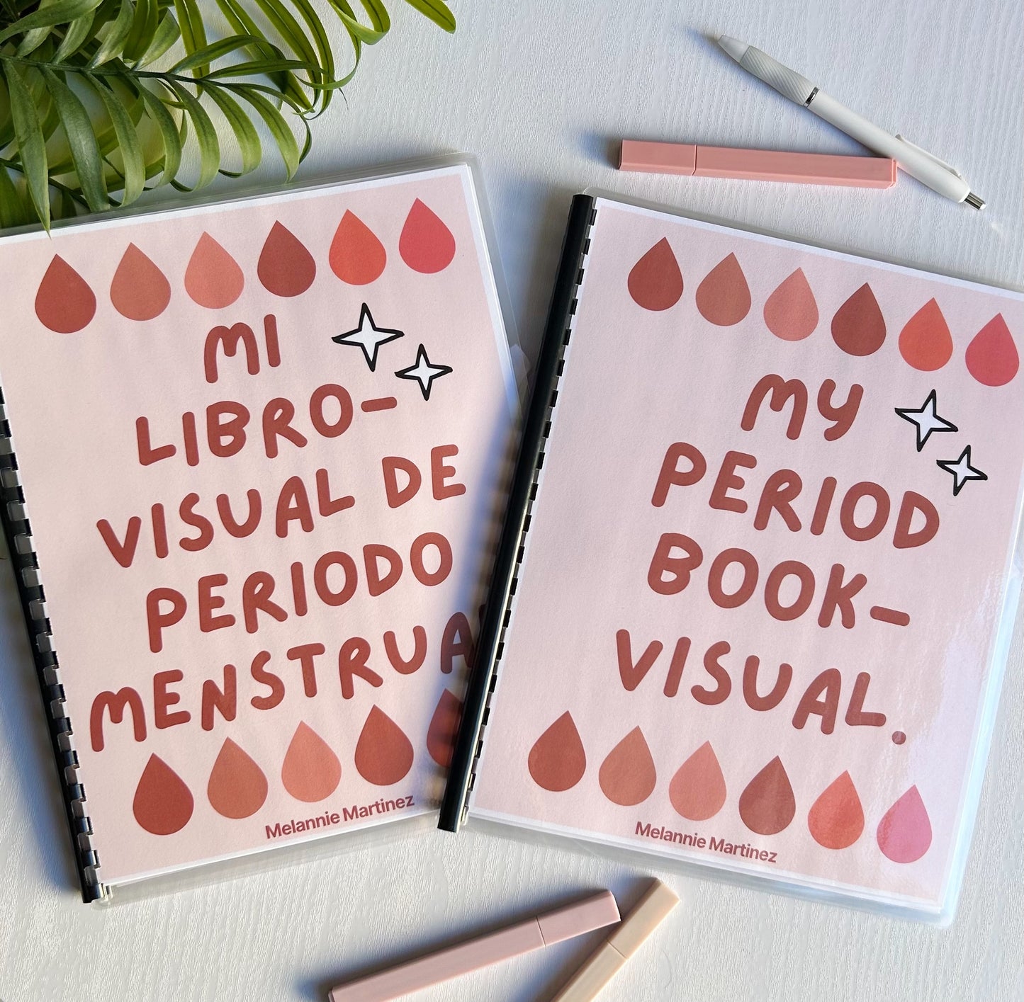 My Period Book-Visual (Physical)